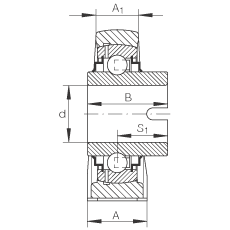 直立式軸承座單元 RASEL25-N, 鑄鐵軸承座，浮動軸承，內(nèi)圈有驅(qū)動槽，R 型密封